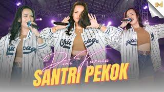 SANTRI PEKOK - DINI KURNIA ( OFFICIAL MUSIC VIDEO )