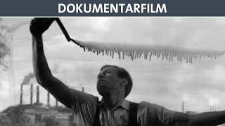 Die Fensterputzerserenade - Doku (ganzer Film auf Deutsch) - DEFA