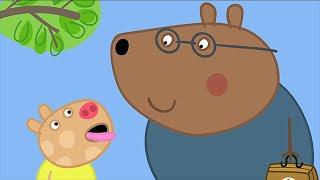 We Love Peppa Pig  Doctors #39