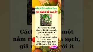 Bí Quyết Giữ Gìn Sức Khỏe Toàn Diện | Sức khỏe vàng #ChămSócSứcKhỏe #BảoVệSứcKhỏe #SốngKhỏeMỗiNgày