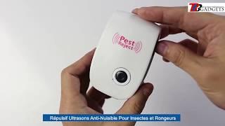 Pest Reject : Répulsif Ultrasons Anti-Nuisible Pour Insectes et Rongeurs