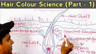 Hair Colour Science (Part - 1) Hair Shaft and Hair Roots/Melanin Hair Pigments full Details in Hindi