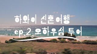 하와이 신혼여행 ep.2 오하우섬 투어 72번국도, 83번국도, 하나우마베이, 테디스버거, 레오나즈말라사다도넛