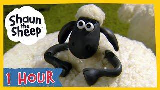  1 Hour Compilation Episodes 1-10  Shaun the Sheep S1