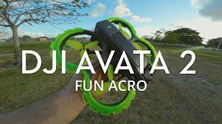 DJI Avata 2 - Dronarchy Fun Acro (Ripper Review)