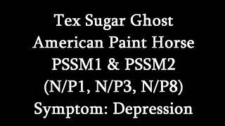 Symptoms Of MIM (PSSM2)- Depression (Tex Sugar Ghost)