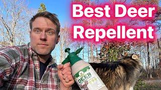 Best DEER REPELLENT for your Trees