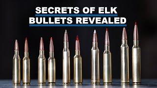 ELK WEEK - Elk Week's Best Cartridges for Stopping Big Elk