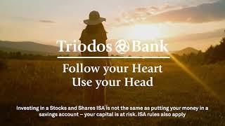 Triodos Stocks and Shares ISA - Trainers from Ocean Plastic - Isn't Sustainability Amazing?