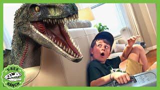 Dinosaurier und Wildtiere! Riesen-Dinosaurier kämpft | T-Rex Ranch - Dinosaurier für Kinder