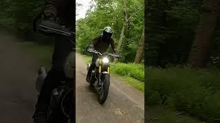 Tree almost takes me out! #shorts