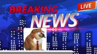 BONKREACTS: BREAKING NEWS! #comedy #bonk