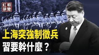 上海帶頭突強制徵兵 習要做最後一搏？她用性命搏法官！中共堵不住 軍人翻牆找真相【紅朝禁聞】