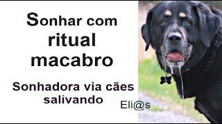 SONHAR COM RITUAL MACABRO - CÃES SALIVANDO - SACRIFÍCIO HUMANO significado