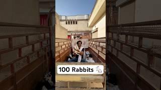 100 Rabbits P-1 #shorts #shortvideo #viral #rescue #rabbits #pets