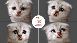 "I'm not a Cat" - Original Avatar by Reallusion | Reanimated in Cartoon Animator