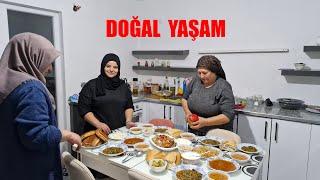 KÖYDE DOĞAL YAŞAM MİSAFİRLERİMİZ GELDİLER ÇOK MUTLU OLDUK GÜZEL VAKİTLER