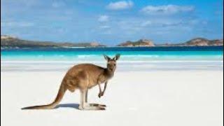 West Australia -  Lucky Bay, Esperance西澳大利亚州 - 埃斯佩兰斯幸运湾 5/2/2025