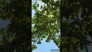 알랑가몰라  #영탁 #영탁이딱이야 #사랑의콜센타