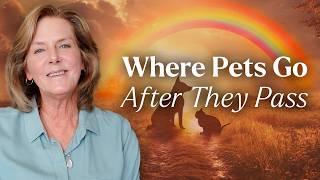 The Rainbow Bridge: Where do Pets Go When They Die? | Tami Hendrix