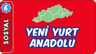 Yeni Yurt Anadolu |  6. Sınıf Sosyal evokul Kampı