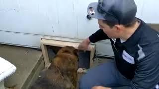 Carmichael Pest Control - Rodent exclusion crawl space access door