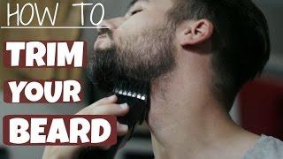 How To Trim and Shape Your Beard | TheGentlemansCove