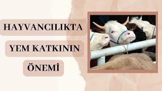 HAYVANCILIKTA YEM KATKI MADDELERİNİN BESLEMEDE ÖNEMİ  | VİTAMEL İLE VİTAMİN SAATİ