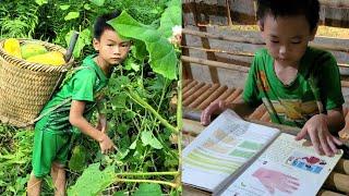 The boy cook. Harvest papaya and cook bran for pigs. raising pigs, chickens, and ducks.