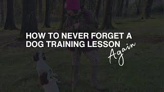 How To Never Forget A Dog Training Lesson Again - The LWDG