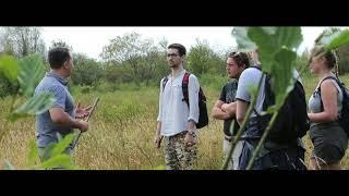 Organisms and Environment at Cardiff University School of Biosciences