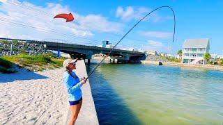 Tossing Live Bull Minnows Under a Bridge For Dinner, But This Happened!