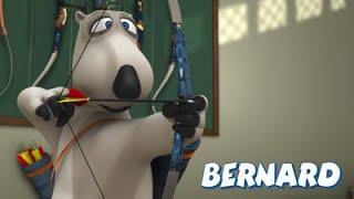 Archery Skills Tested: Bernard Takes Aim!  | Full Episodes | VIDEOS and CARTOONS FOR KIDS