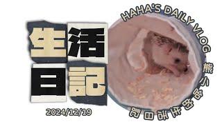  熊小哈 刺蝟寵物日記1219｜Haha's Daily Vlog 1219 【熊小哈的日常 Haha's Daily Vlog】