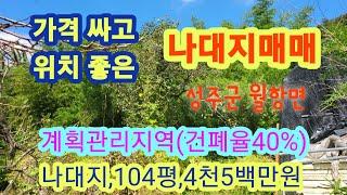 [2135] 성주땅 매매. 성주나대지 매매. 성주 전원주택지 매매. 성주군 월항면 대산리 옛날 집터 매매. 대 104평, 4천5백만원[성주 부동산]