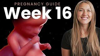 16 Weeks Pregnant | Week By Week Pregnancy