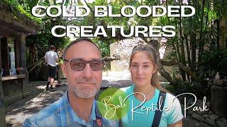 Cold Blooded Creatures - Bali Reptile Park