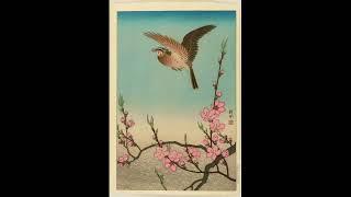 Koson Ohara from the Neko Collection - artelino