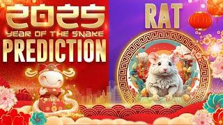 2025 Year of the Snake - Rat Zodiac Horoscope Prediction