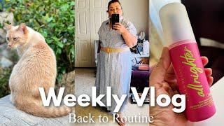 Getting Back to Routine in Late Summer | Weekly Vlog S1 Ep. 4