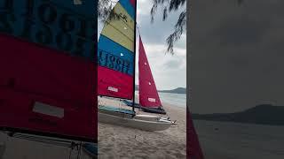 ️ Let the wind take you away! Watch this sail sway gracefully in the breeze #Sailing #WindInMySails