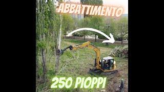 COME TAGLIARE VELOCEMENTE 250 PIANTE E CIPPARLE - FAST CUTTING OF PLANTS AND WOOD CHIPPING