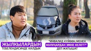 Жылкылардын ээси же айдоочубу, ким күнөөлүү?