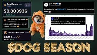 $DOG (Rune) Season Taking off  (Shocking Data Revealed)