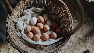 ¿Cuánto dura un huevo desde que lo pone la gallina?