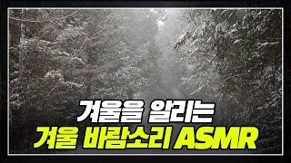 겨울을 알리는 겨울 바람소리 ASMR