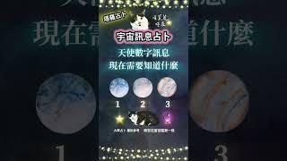 占卜天使數字訊息【現在需要知道什麼】 #喵黛麗塔羅 #astrology
