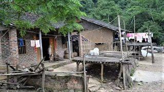 Wife leaves, bankrupt man builds and renovates house in mountain forest