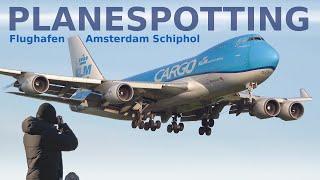 Flugverkehr am Amsterdam Schiphol Airport | Viel KLM - 747, 787, 777, A330 und vieles mehr