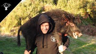 Public Land Boar | Pig Hunting NZ